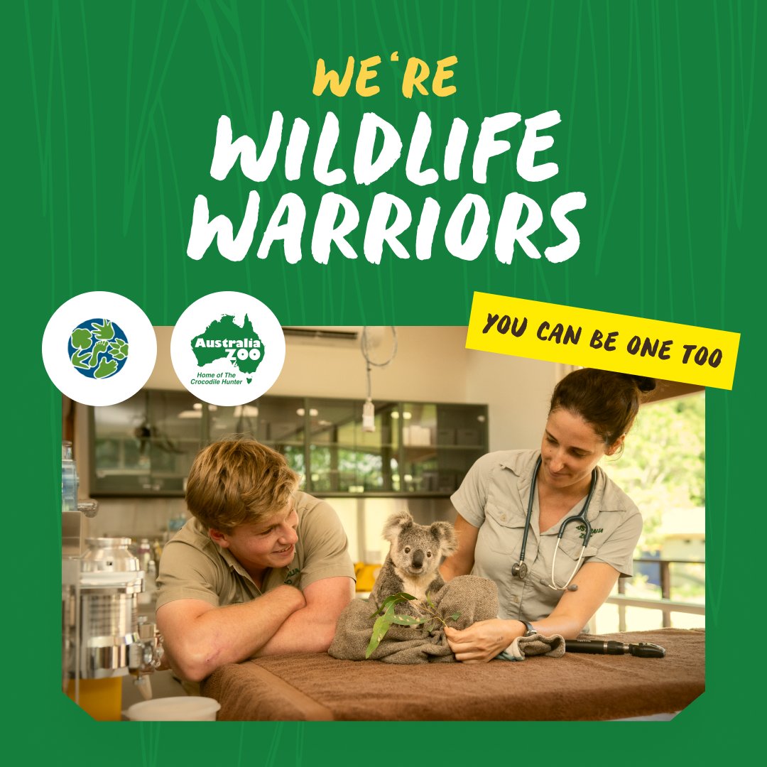 meadowlabs's tweet photo. Crikey! We're excited to announce our partnership with @AustraliaZoo  &amp; @wildwarriors to create NFTs on carbon-negative blockchain @algorand.

These NFTs fight for an extremely important cause: protecting our wildlife and wild places: https://t.co/3EVONkrvB3 https://t.co/lm8Y54vQtO