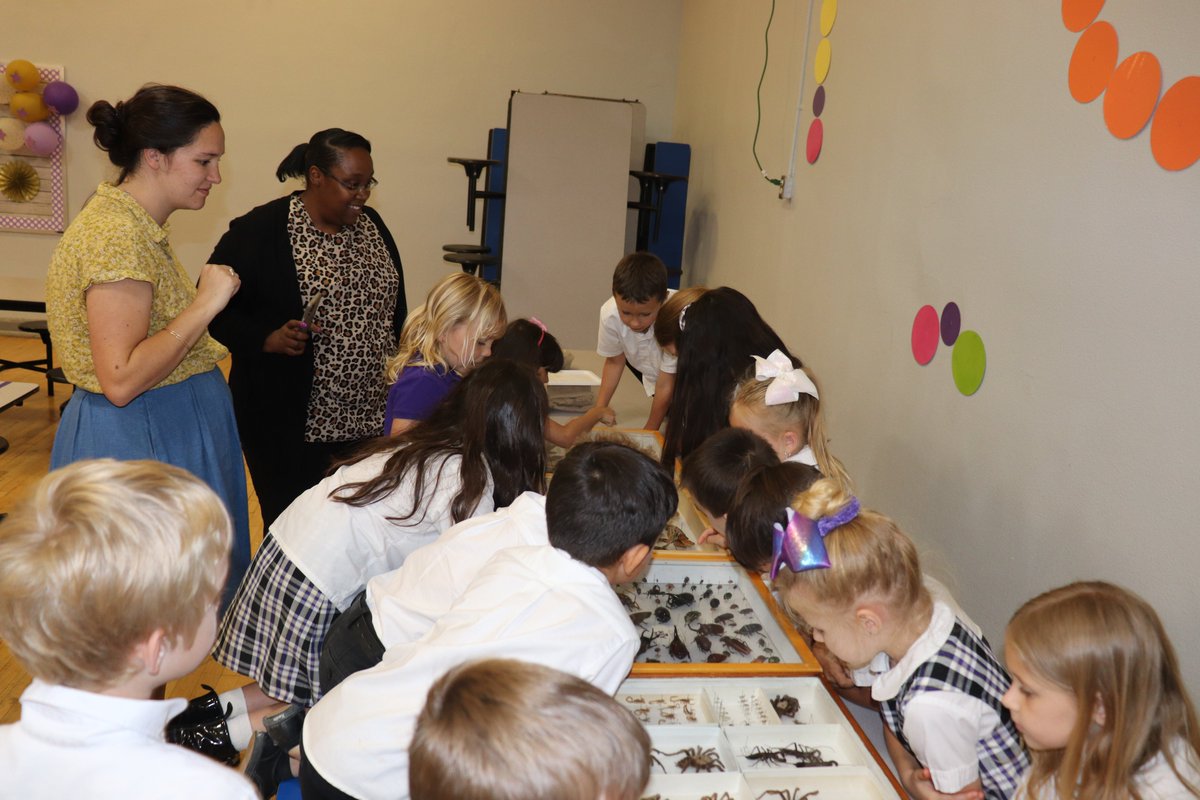 TAMUAWE's tweet photo. The newest AWE E-board had a great first event this afternoon at St. Jospeh Elementary School with some extremely curious kids! It was such a pleasure getting to share the love of entomology with them! https://t.co/ZWcu9c9wng