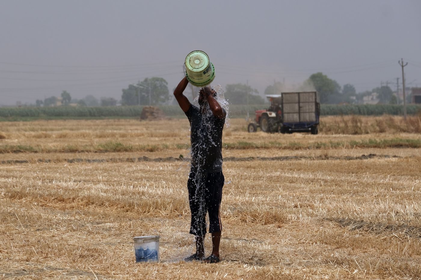 A picture of a farmer cooling off by pouring a bucket of water on himself while working at a wheat farm in Punjab