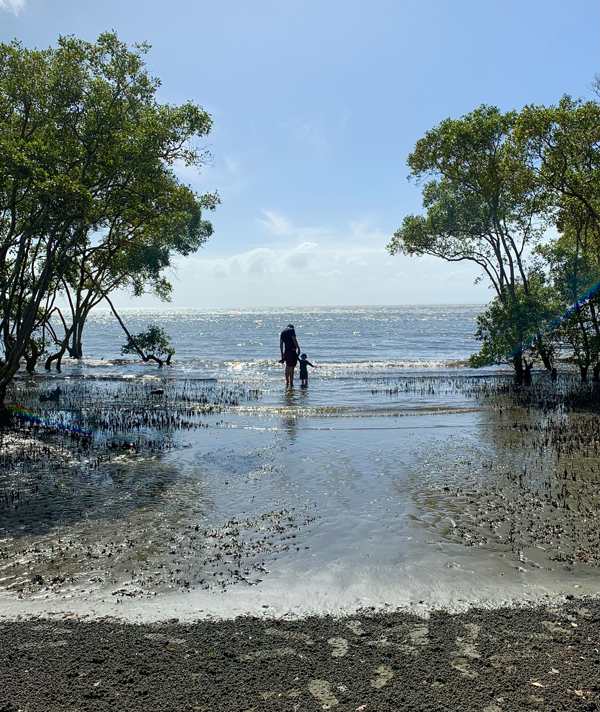 , Summer's on its way! - mailchi.mp/yarn/1tjp3wbut… Handknit Summer Tees #twitterknitters #twitterknitter #knittersoftwitter