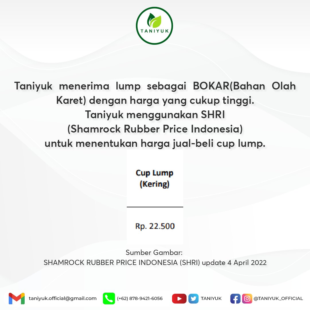 taniyuk's tweet photo. Lump adalah gumpalan getah karet yang tertampung di dalam cup atau wadah dan telah masuk ke fase fermentasi atau pembusukan. Taniyuk juga menerima setoran lump dari petani dengan harga yang cukup tinggi dan stabil.
TANIYUK, BUKTIKAN!
#taniyuk #taniyukforreal #taniyukbuktikan https://t.co/v67bomku6z