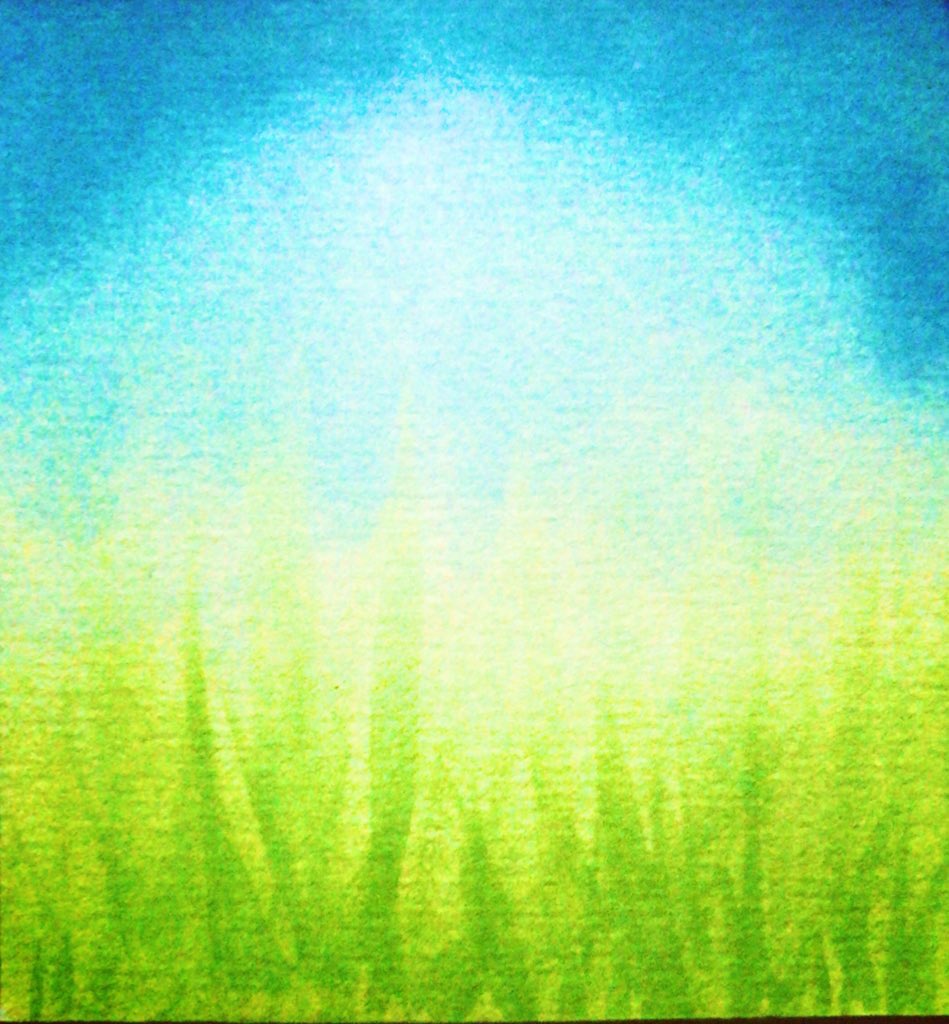🤍🤍🤍🌳🍃