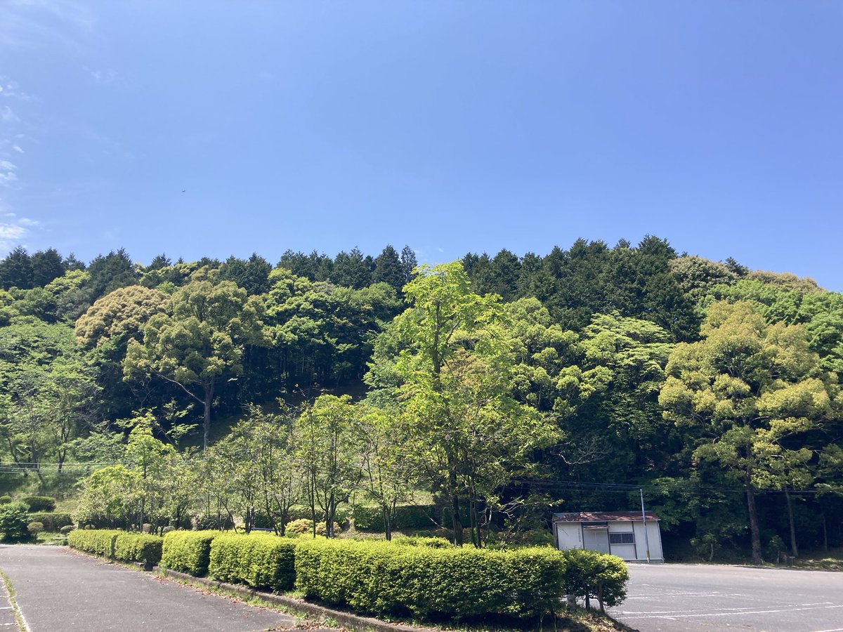 isular1204's tweet photo. 大野城に来ました…が本気登山だからその服じゃ厳しいよと管理事務所のおばちゃんに言われたので百名城スタンプだけ押して撤退
また来ます… https://t.co/imrkagrXJ3