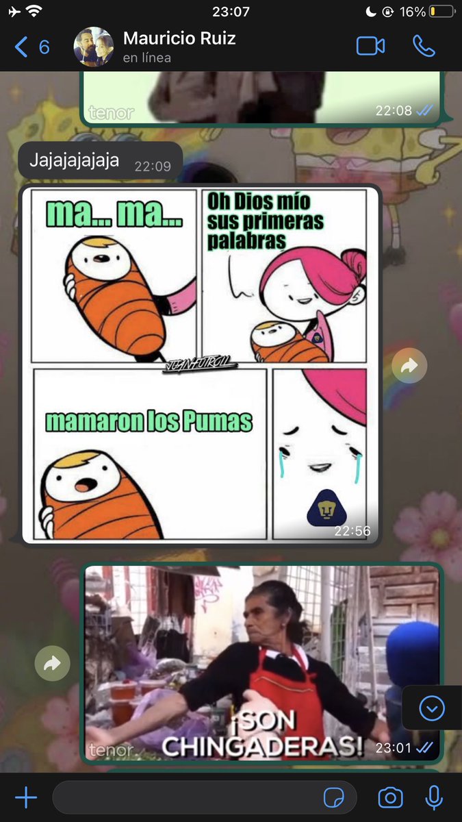 PalomaJagger's tweet photo. Así la vida 😒 … #ElMame #ConcacafChampionsLeague #ChampionsLeague #Pumas #Seatle https://t.co/MnTiqTdRFz