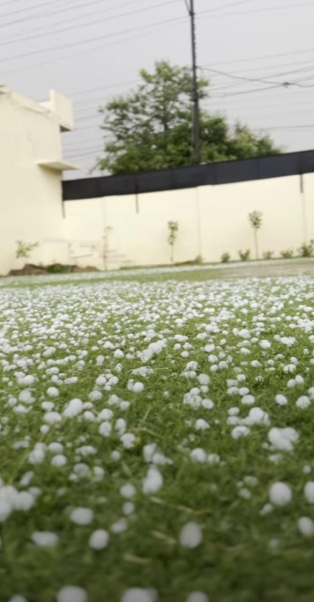 LiveWxIndia's tweet photo. Northern Plains #Rainfall in 24hrs till 8:30am

#PUNJAB

#Patiala 39.0mm
#FatehgarhSahib 22.0mm
#Ballowal 19.4mm
#Balachaur 17.5mm
#Rauni 14.5mm
#Adampur 11.0mm
#Pathankot 9.0mm
#Ropar 5.5mm
#Barnala 4.5mm
#Ludhiana 2.6mm
#Gurdaspur 2.6mm

#CHANDIGARH

#Airport 8.0mm
#City 6.2mm https://t.co/FYiPzEPaMq