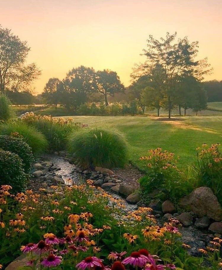 StudyPixel's tweet photo. Looks like a fairytale 💚 #aesthetic #naturelove https://t.co/G9hwMEeKMj