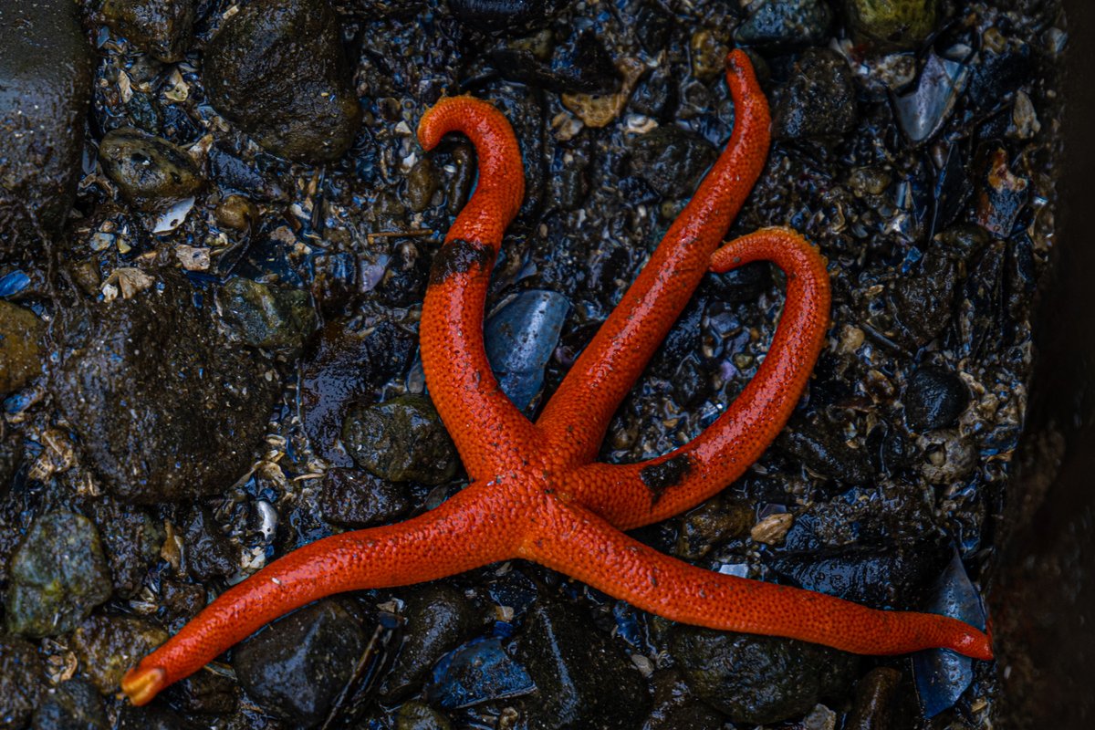 Mark Teasdale ★ tweet media