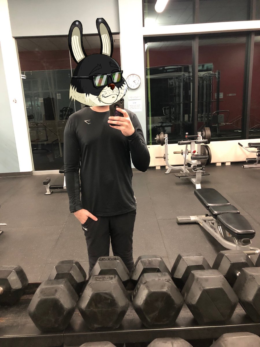 DizzieBunny's tweet photo. @TheLazyBunnyNFT being not so lazy at the gym #lazy #workout #nft #nftpfp #nftcommunity #softdox #bodydox #pooredit https://t.co/Y0ORKMaO1v