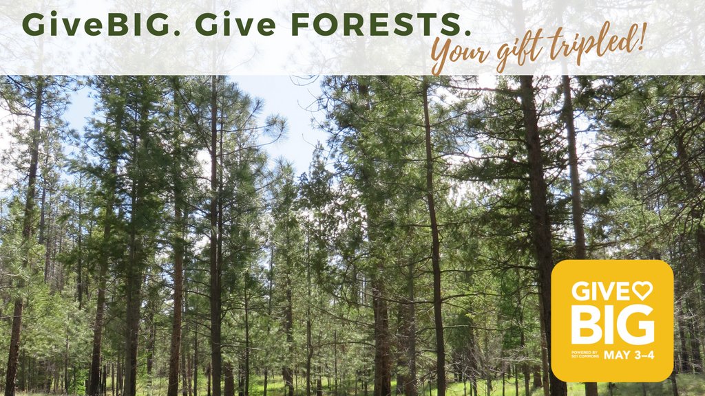 Wa Wildlife & Rec tweet media