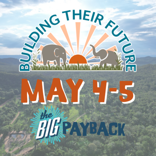 FriendsOfGSE's tweet image. Don't miss out: Only $2000 in MATCHING funds left! Your gift to @globalelephants is so important as there are #elephants approved &amp;amp; waiting ... they just need their habitats to be finished. #paradise #BigPayback thebigpayback.org/globalelephants