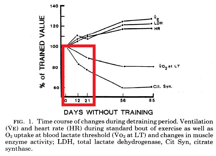 How quickly can we detrain the aerobic system? Within 12 days of no aerobic stimulus, You can lose ~18% of key aerobic enzymes.