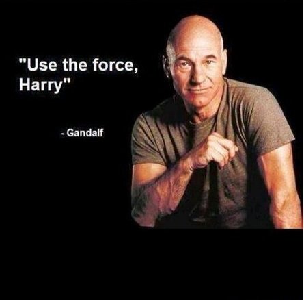 James 'Iv0ryW0lf' Boyd tweet media