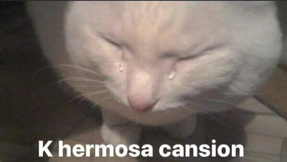 honeyversion13's tweet photo. * Suena cualquier canción de Taylor Swift*
Yo: https://t.co/V0Gg7dTfiZ