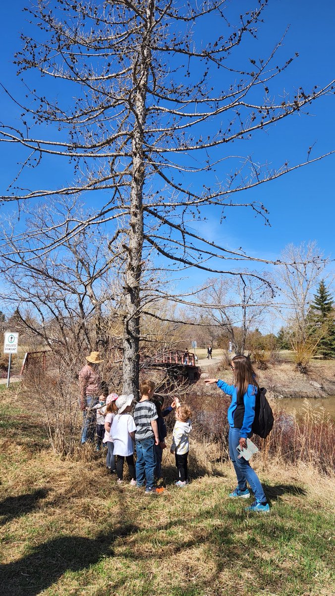 Samanda Brace tweet media