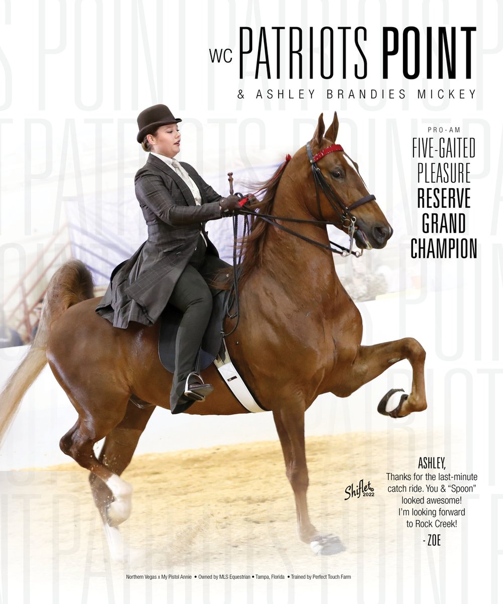 TNH1865's tweet photo. Patriots Point & Ashley Brandies Mickey: Pro-Am 5-Gaited Pleasure Reserve Grand Champion
#nationalhorseman #proam @ashleybrandies #mlsequestrian #perfecttouchfarm #5gaitedpleasure #saddlebred https://t.co/jvOzONuktb