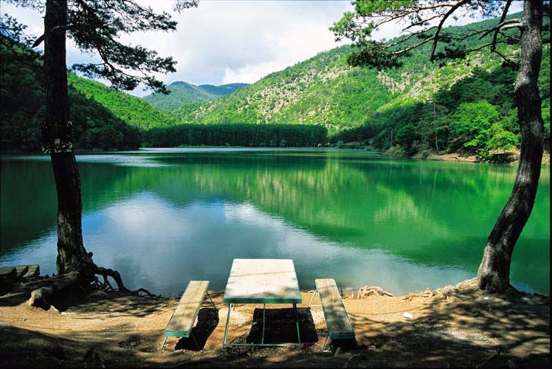 at_emircan's tweet image. opensea.io/collection/nat…
#nftcollector #NFTs #NFTCommunity