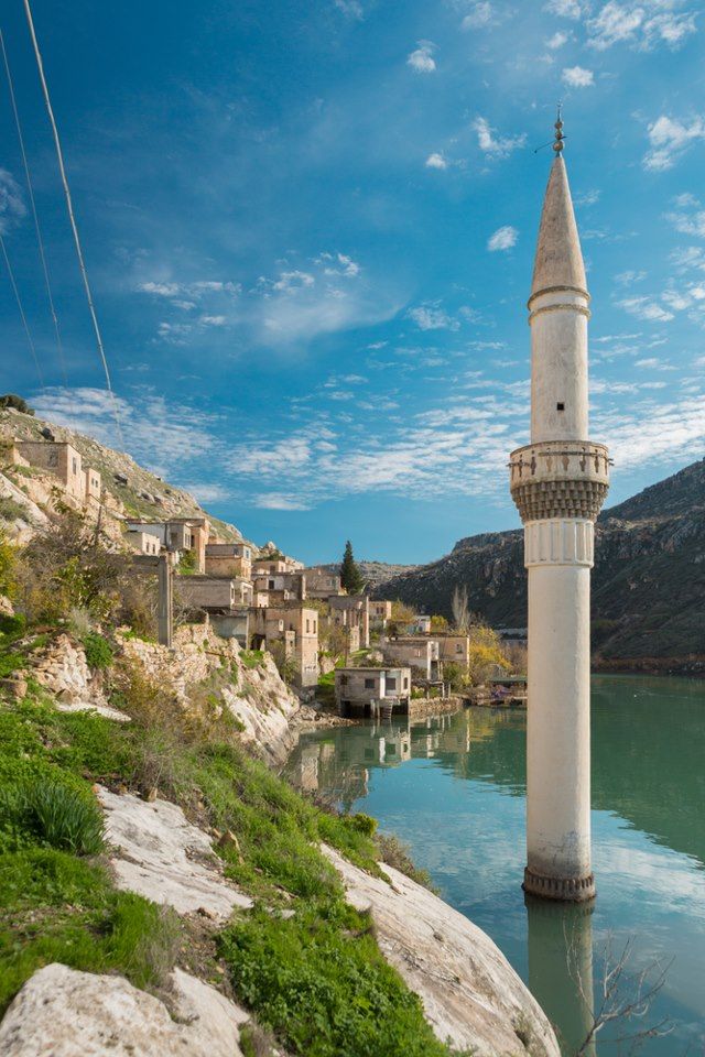 at_emircan's tweet image. opensea.io/collection/nat…
#nftcollector #NFTs #NFTCommunity