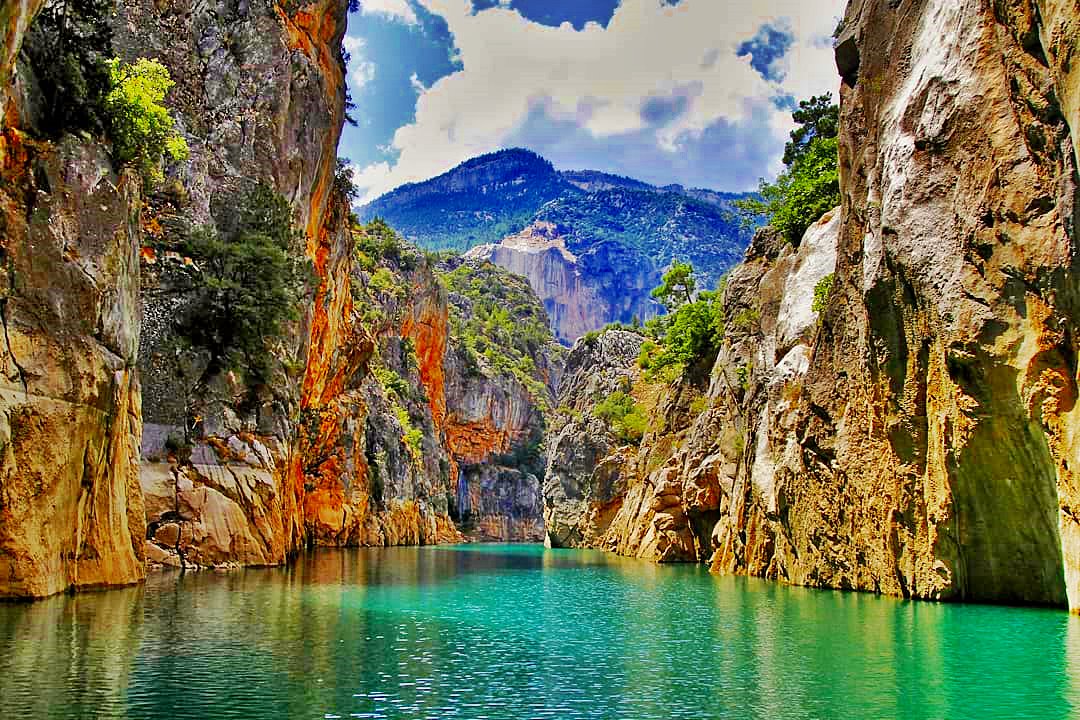 at_emircan's tweet image. opensea.io/collection/nat…
#nftcollector #NFTs #NFTCommunity