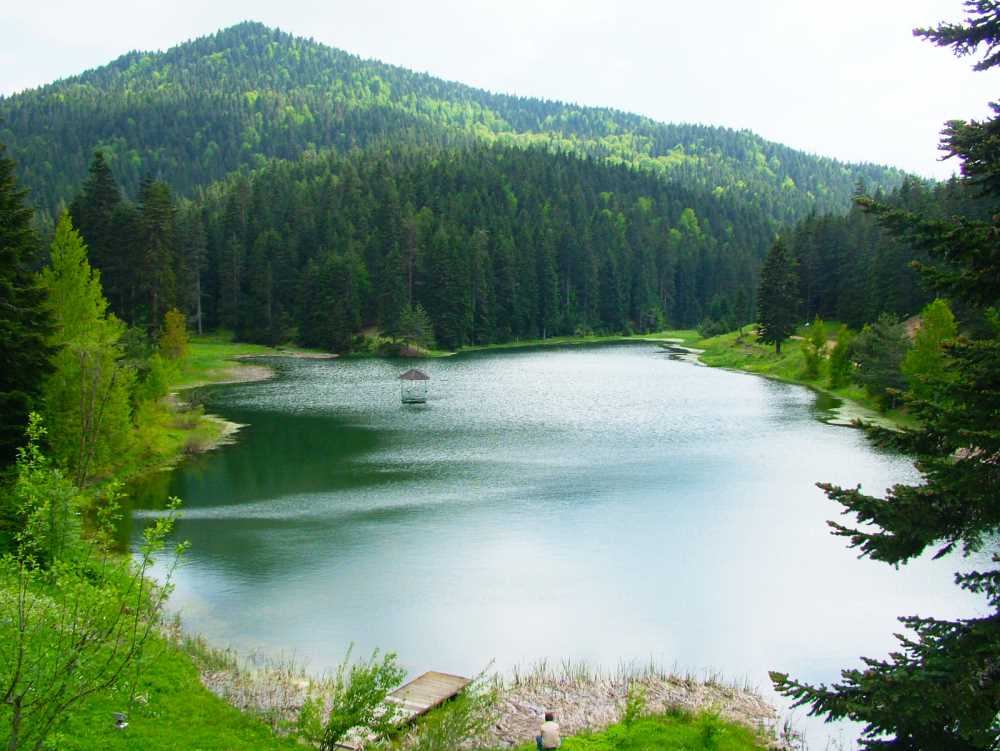 at_emircan's tweet image. opensea.io/collection/nat…
#nftcollector #NFTs #NFTCommunity