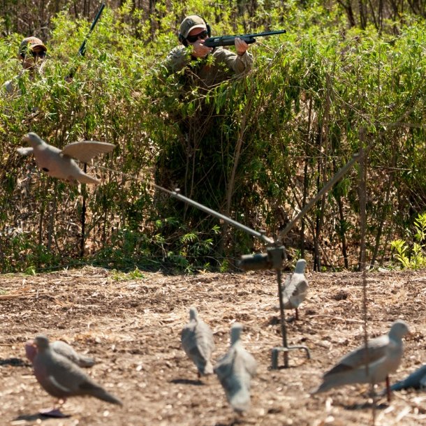 tukulodge's tweet photo. Our pigeon shooting is close...

Close to the house
Close to perfect

#premiumpigeonhunting #premiumpigeonshooting 
#wingshooting #birdhunting 
#Salta #Argentina 

@DetailCompany 
@DSCNEWSCENTER 

🏡 @tukulodge   
📍 Salta, Argentina🇦🇷 https://t.co/zOURqsVq88