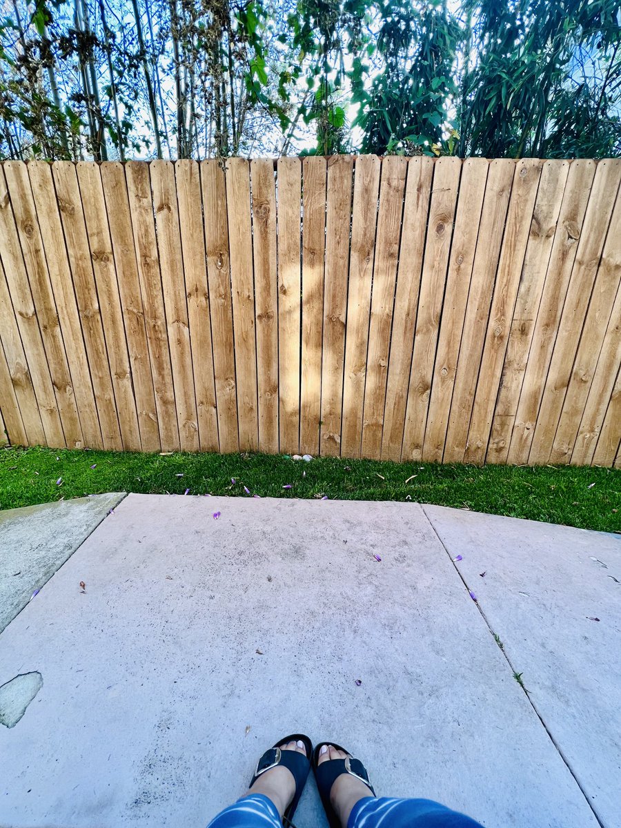 Ana Lydia Ochoa (Otxoa)-Monaco (She/Her) tweet media