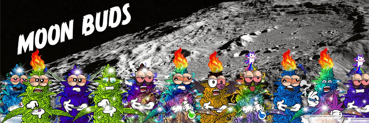 SulleNGG's tweet photo. Dopest FREE Mint on whatever Web we're on

Tell your friends, 
this. shit. is. free.
And then its gonna be sold out, and where you gonna be?

https://t.co/3WvFMOcYPl

Get a FREE Moon Bud, and help a BUD out by retweeting this post.

ROLL UP
#solananft #nft #solana #nfts #nftart https://t.co/0pcyjiYik0
