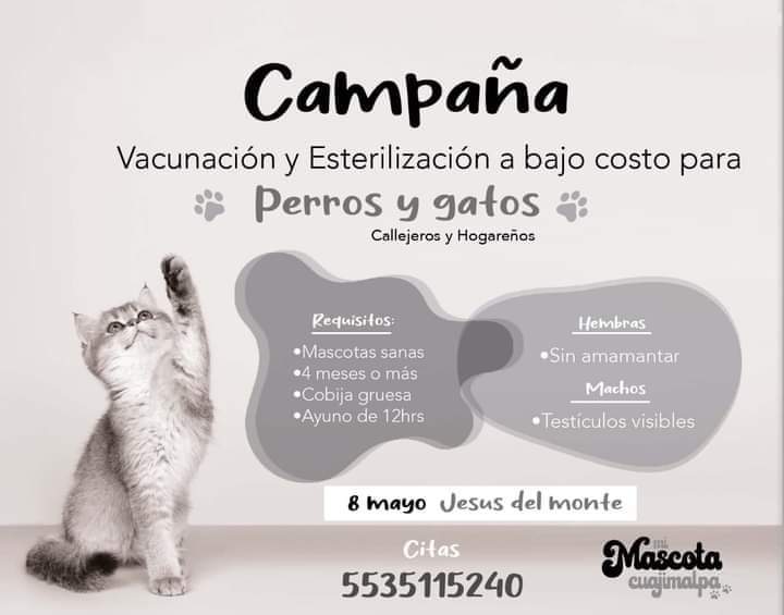 Seguidores buenos días, envíanos WhatsApp para enviarte toda la información de la Campaña de esterilización y vacunación éste domingo 8 de mayo. No te pierdas ésta oportunidad 📢🇲🇽🐶🙏📣😺🦮❤️🐕🐕‍🦺🐩