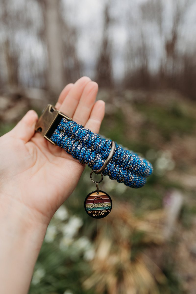 One of our favorites 💙 #Trending #dogs