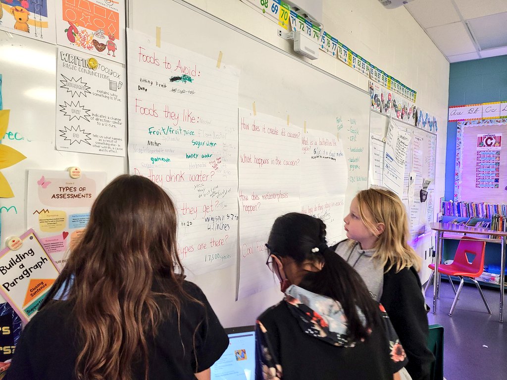 LACMsBanksFMPSD's tweet photo. Gr 5 @DrClarkSchool just got their 12 class pets today ๐ ๐ We discussed all the things we will need to know, made a plan, and then collaboratively collected information. Literacy work that didn't feel like work ๐ #trickedya #lifecycles #research #crosscurricular @FMPSD https://t.co/356T1OFZf8