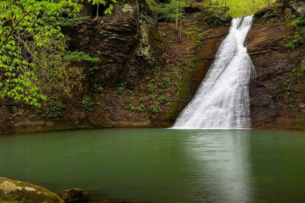 cormackphotos's tweet photo. The 32-foot tall Paradise Falls, up in the Ozark Mountains.
#arkansas #waterfallsofarkansas #waterfalls #canon6d #ozarks #ozarkmountains #wonderfularkansas #arkansasphotography https://t.co/pkrUlEyyaS https://t.co/nxLWqEKxKK
