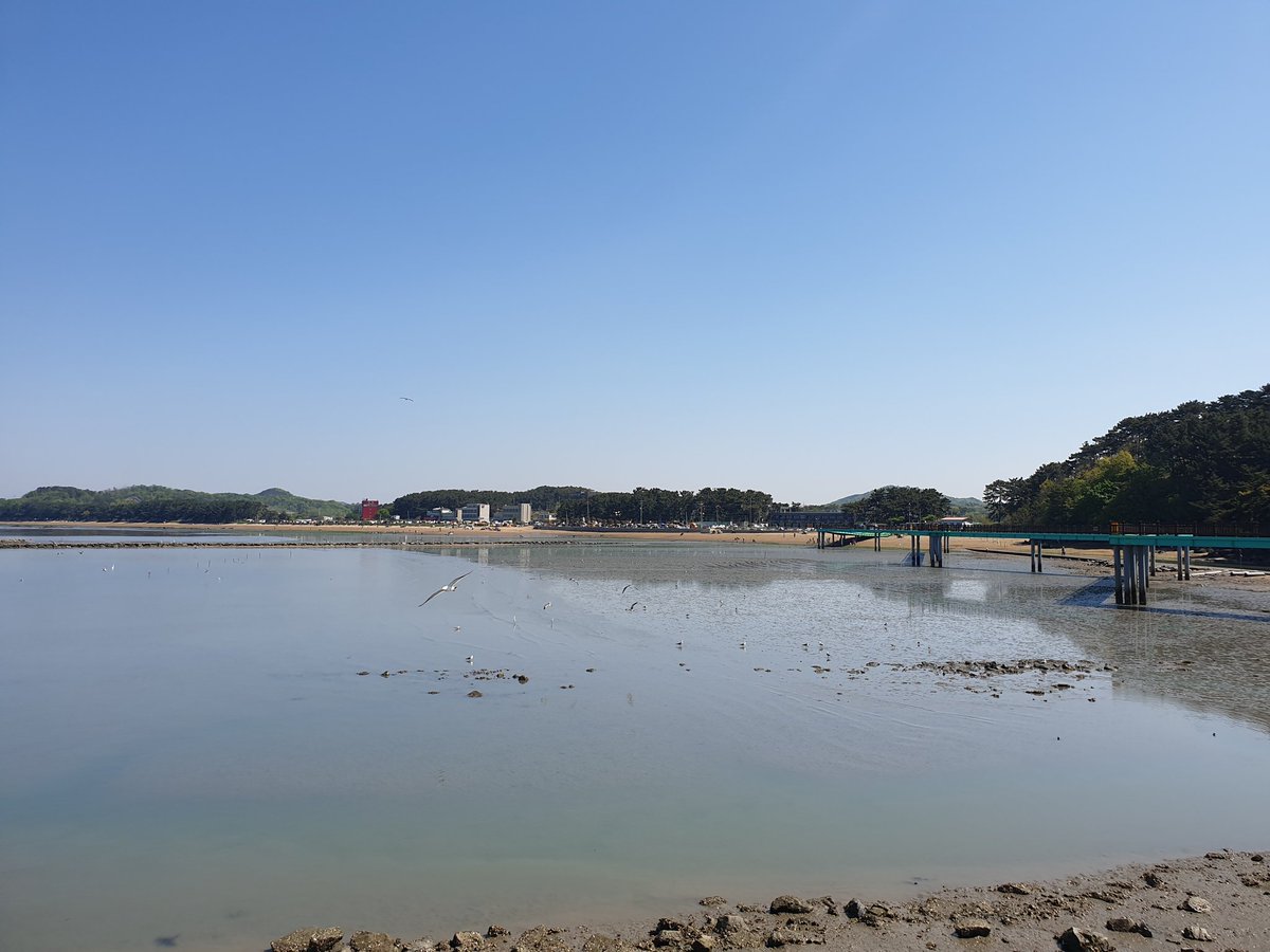 조카들과 에버랜드를 꿈꿨으나 갯벌로 끌려옴. 조개도 캐야 함😑

#BTS_Butter by #BTS is my favourite song  <a href="/BTS_twt/">방탄소년단</a>