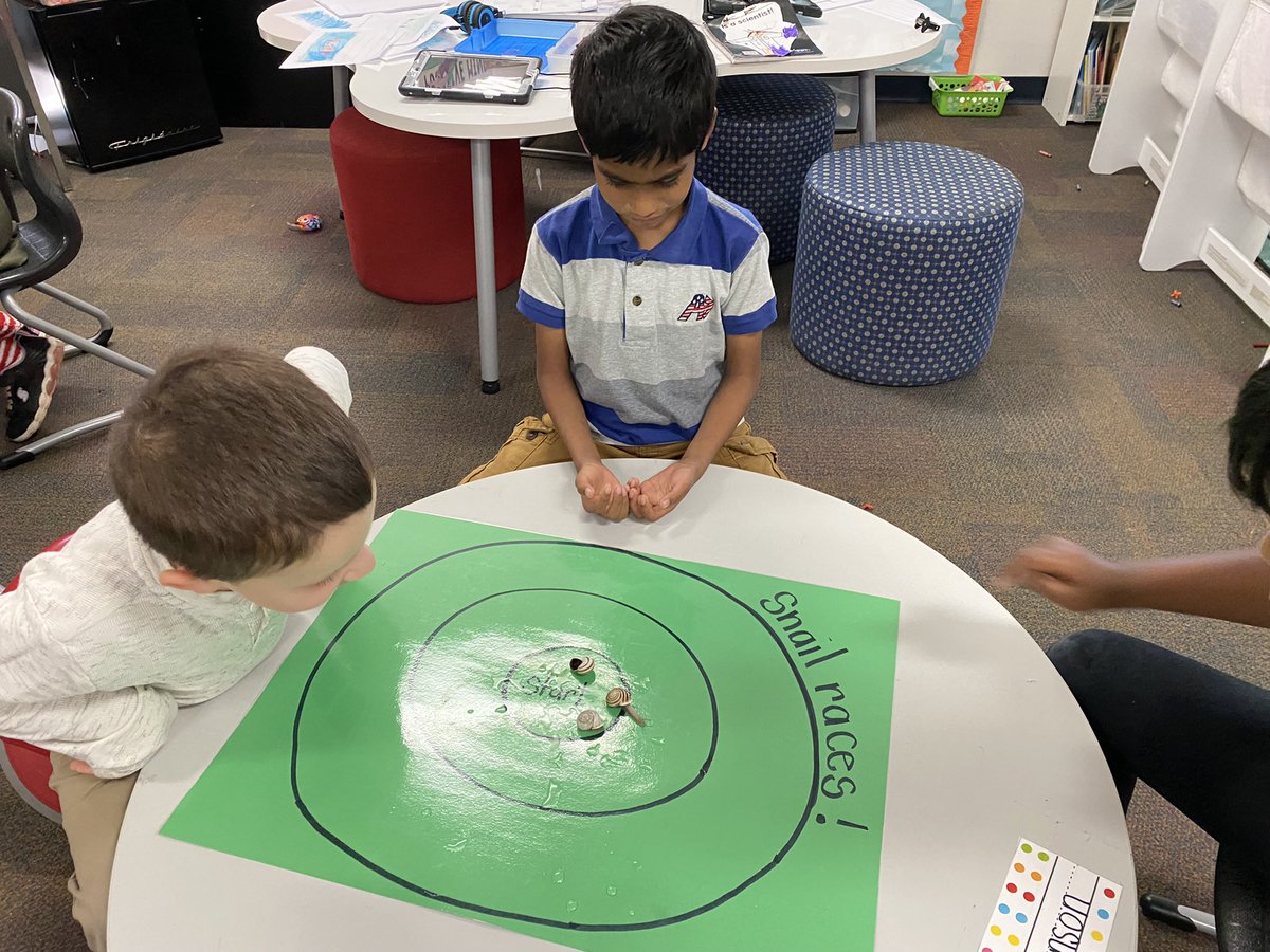 Playing with snails 🐌  Snail races , building habitats, and research!