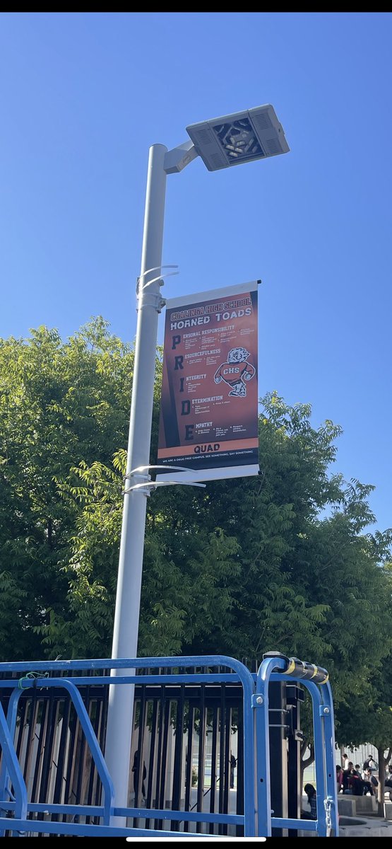 chstoads's tweet photo. Such an exciting day today!  These TOAD PRIDE banners are going up. 
Huge shoutout to CHUSD Maintenance and to @MrsRuona for helping bring my vision to life.  🧡🧡🧡 https://t.co/om8Op5gBny