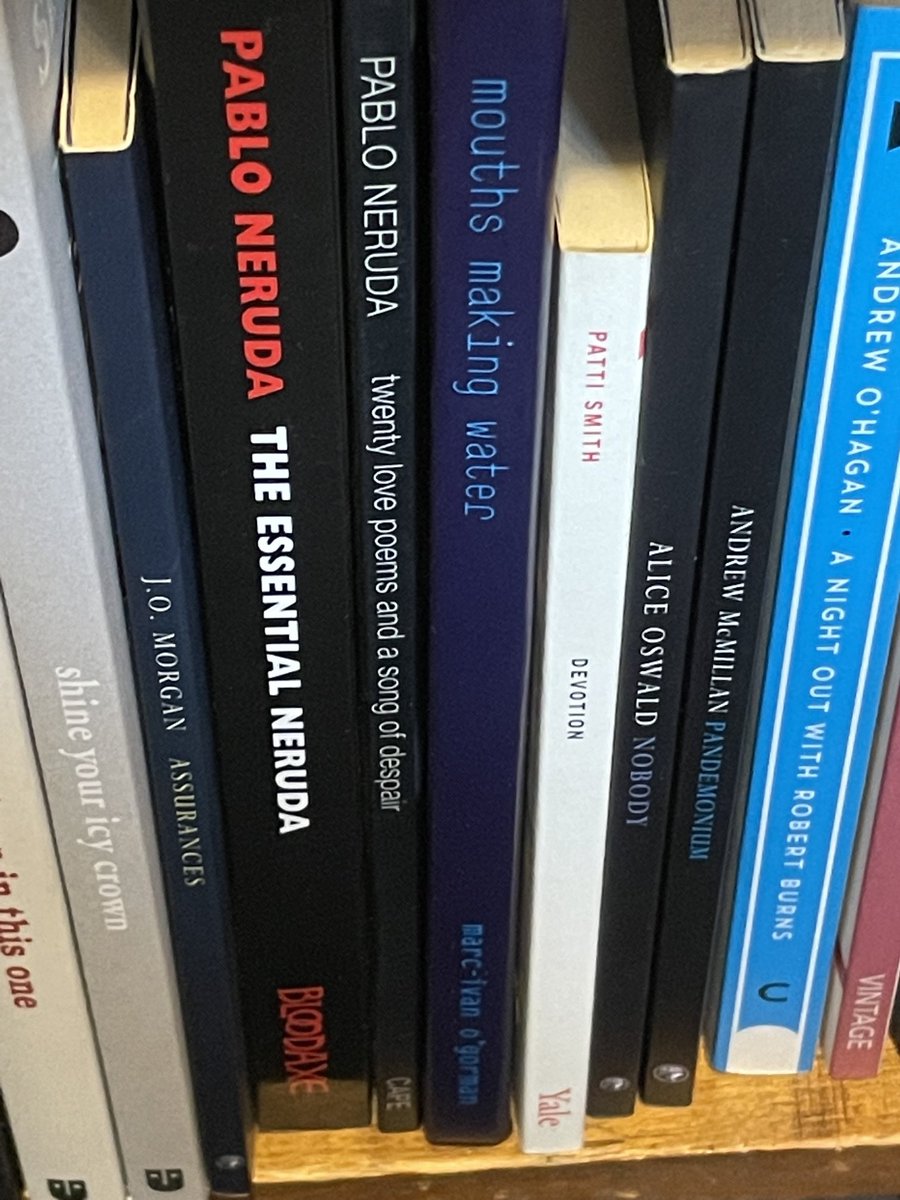 marcivanogorman's tweet photo. #Happybirthday #finneganswake! #mouthsmakingwater My #stageadaptation of #jamesjoyce’s masterpiece available in stores like ⁦@Winding_Stair⁩ ⁦@VisualCarlow⁩ ⁦@BooksUpstairs⁩ #bookofthenight #irishliterature #novels #plays #modernism #experimental #theatre https://t.co/23yhaVjhOe