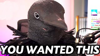 Birbs_'s tweet photo. @youtooz CROWFATHER https://t.co/bCZbkh7BL8