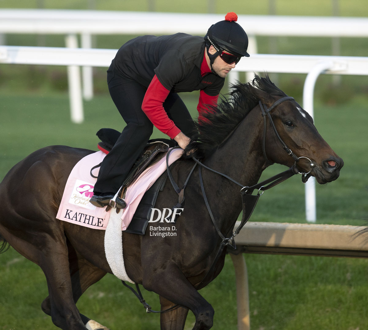 Daily Racing Form on Twitter: