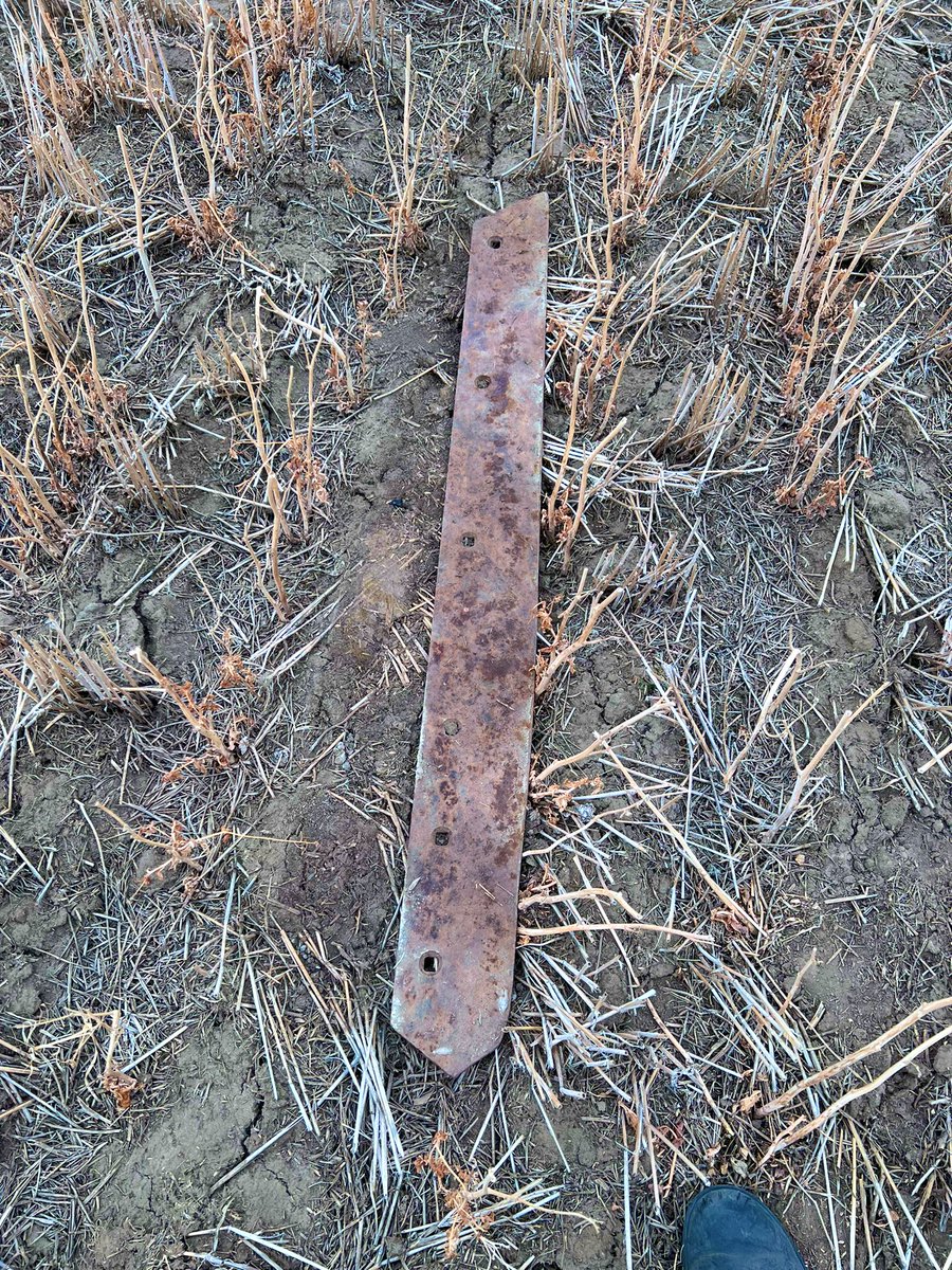 Trevor Brady tweet media