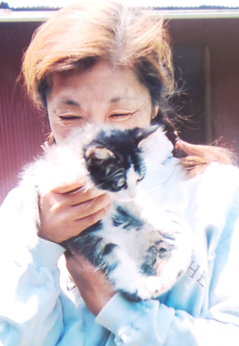 ST34mamoru's tweet photo. 今日でキララが18歳なりました🐱
まだまだ元気。長生きしてね。
拾って間もない頃、一番元気だった頃の母が抱える写真と共に。

母が���立って今日で１ヶ月。もう猫との思い出話が出来ないのが、一番寂しいですね。 https://t.co/xiIGZmPmtV