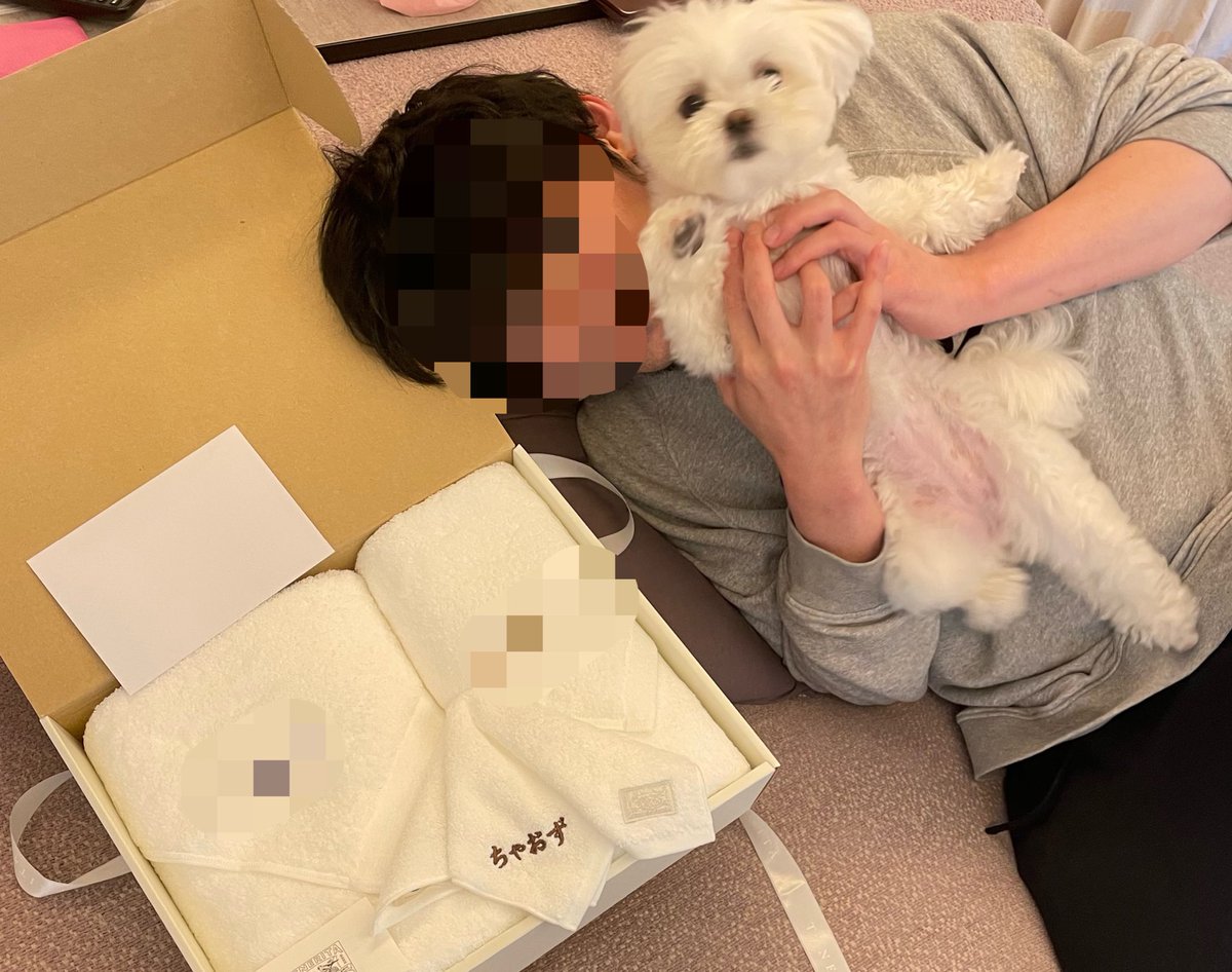 _chiaotzu's tweet photo. 飼い主の父母より、飼い主とちゃおずへのプレゼント🎁
ちゃおずタオル渋いい🥰
#マルチーズ #ポメラニアン #犬好きさんと繋がりたい #犬のいる幸せ #マルポメ #ポメマル #ミックス犬 #犬のいる暮らし #犬バカ部 #ちゃおず https://t.co/xWyDEblIap