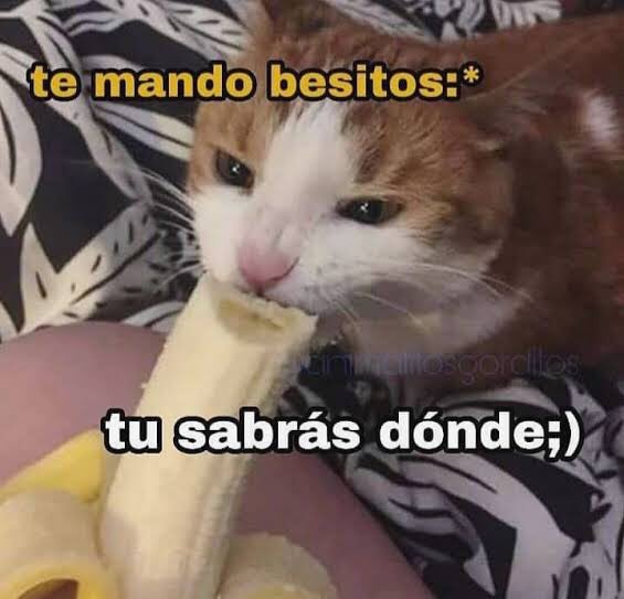 @KeFuCoffee Ugly is just a word, it can mean whatever you want. If you want it to mean ugly that’s on