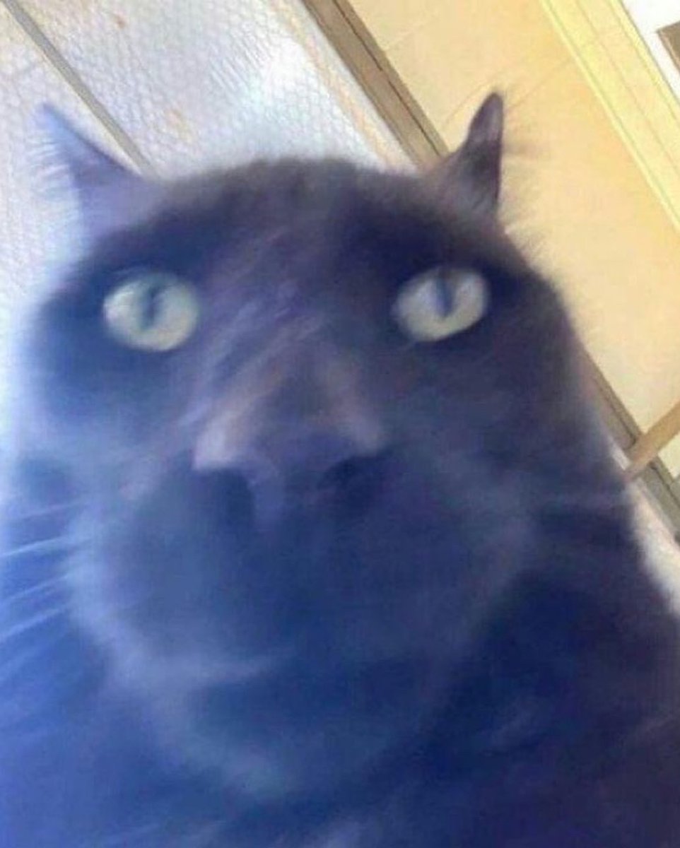 / literally 2 lazy to remake my pinned &amp;&amp;. a new layout rn ..