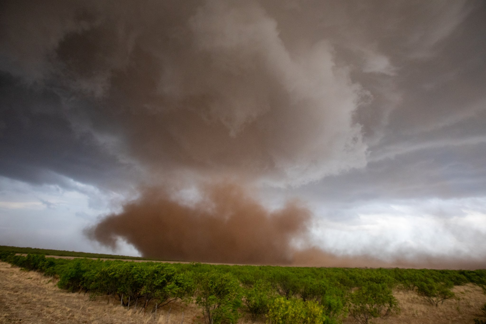 Jake Heitman on Twitter "Paducah, Texas dusty tornado when it first touched down. This storm