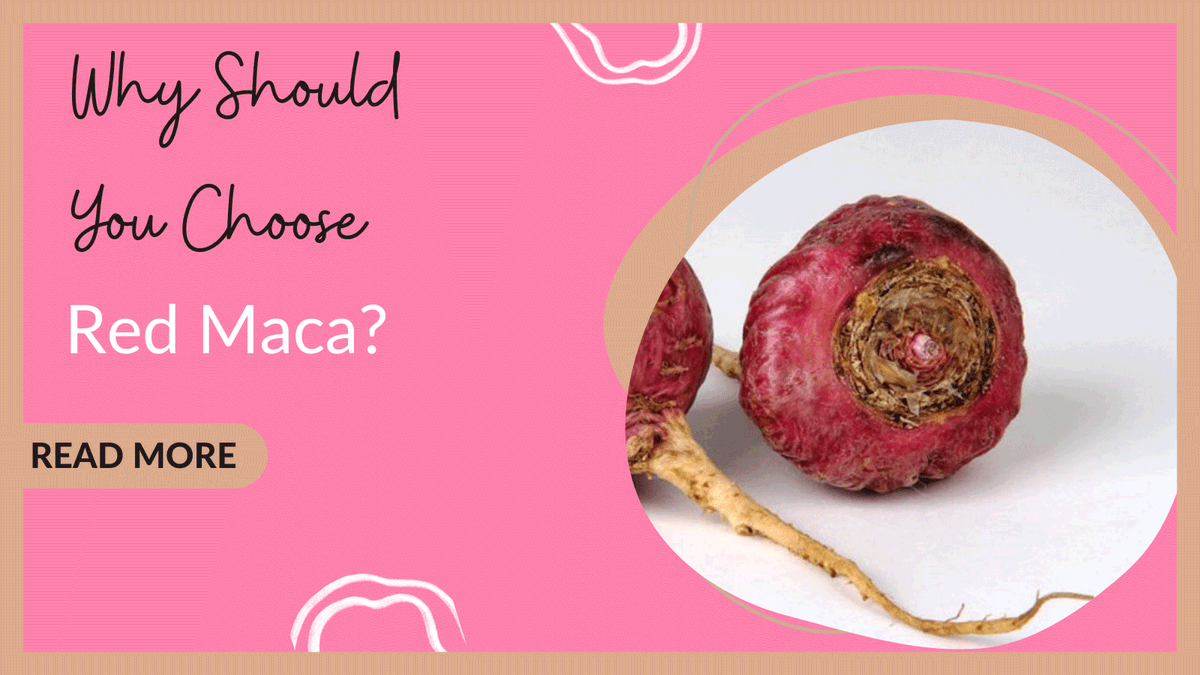 DietAngelFood's tweet photo. Red Maca is a superfood that is safe and healthy. You can take it in powdered form for better results. Let us see all the health benefits one by one. Click here to read more.

https://t.co/m2HspB4VuN

#organicmaca #macapowder #coloursofmaca #vegan #macabenefits https://t.co/BGOQL0lDbn
