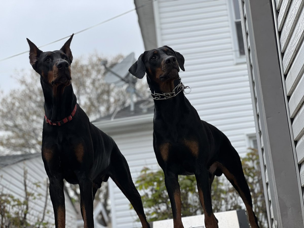 CongressLowered's tweet image. My sons