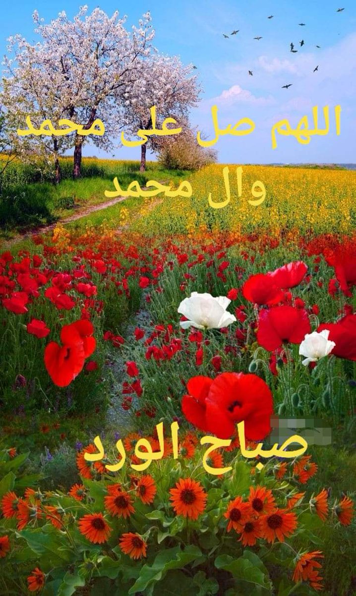 🌹صباح الورد 🌹 
       يقولون أن الورد احلى ما في الكون...
     وأنا أقول لولا وجودكم ماكان للورد لون...
                 🌺 صباح  الخير 🌺
                       كتبناها...✍
                  للطيبين أرسلناها...🕊
               و للغاليين أهديناها🎁