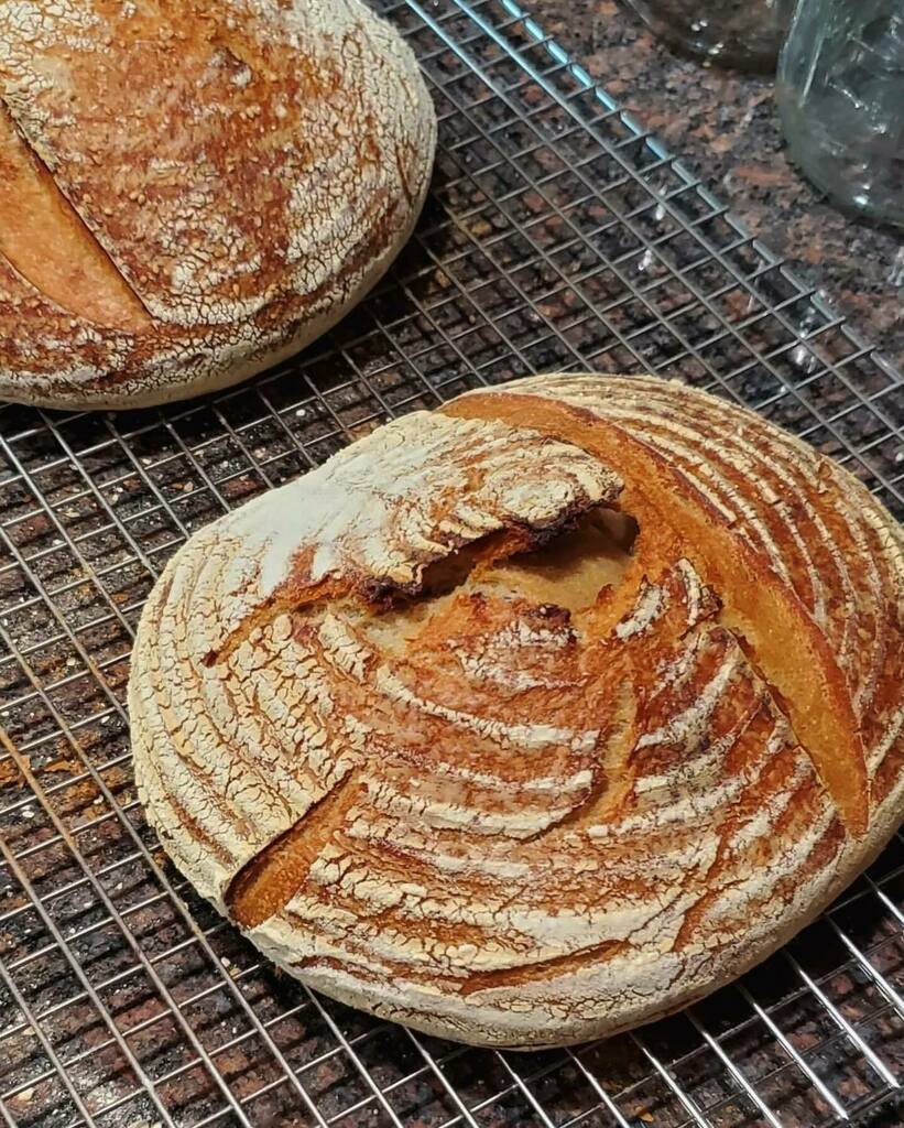 Late to the pandemic sourdough party but he’s trying his best #boulangeriebittner // Badbuddhist home edition