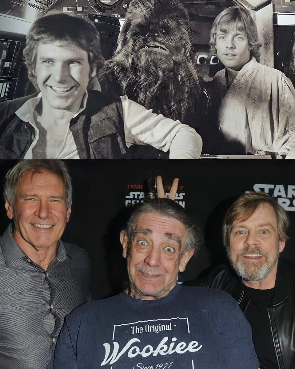 Today, we're remembering the great Peter Mayhew- the original Chewbacca , who passed away on May 1st   in 2019 #MayTheFourthBeWithYou https://t.co/rj4dN7Bdvi