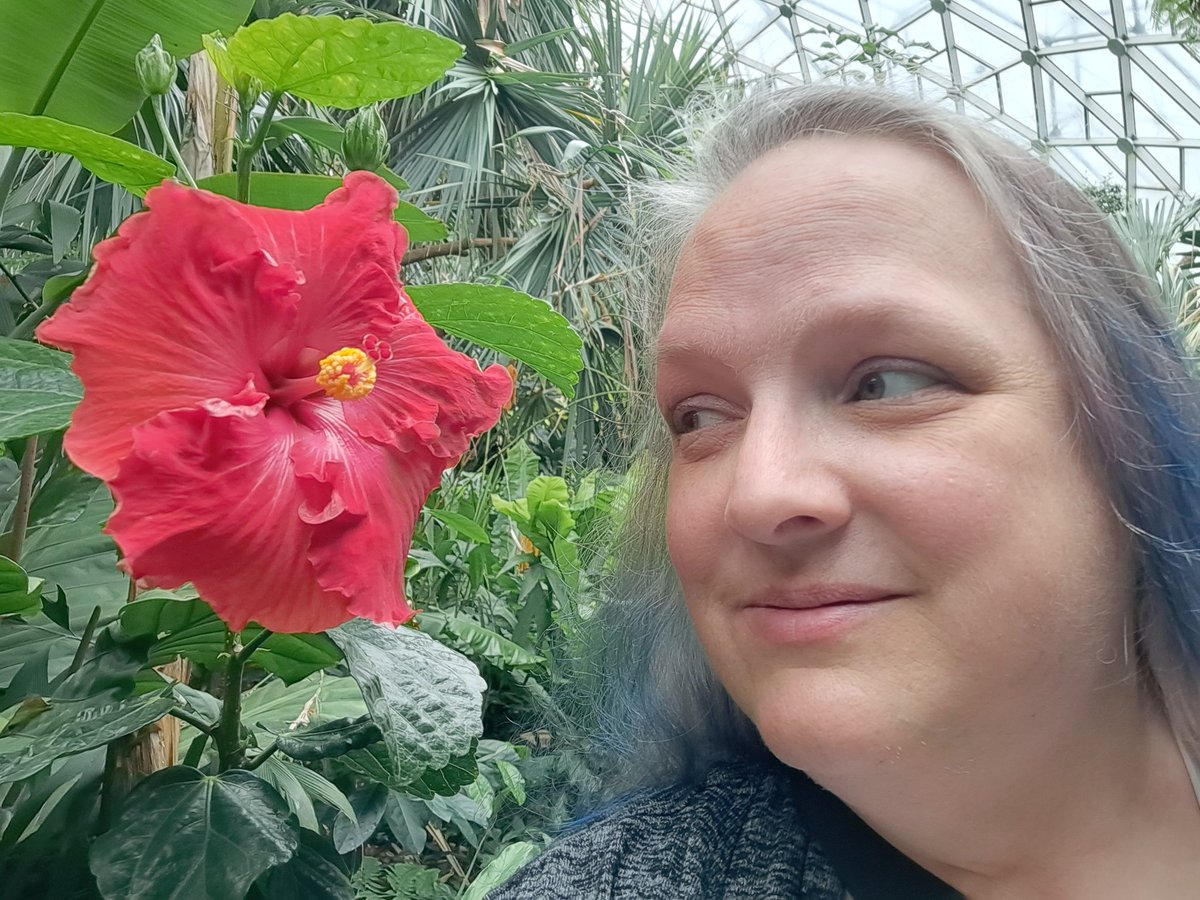 AmyUccs's tweet photo. I was distracted by many pretty things on this trip... https://t.co/VWFYjRbizv