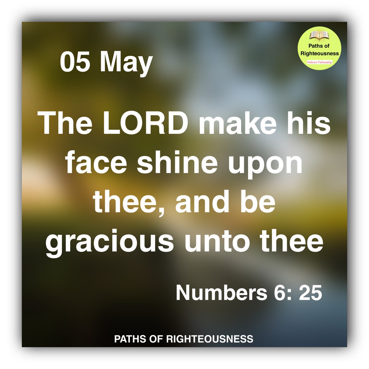 PORighteousness's tweet photo. Numbers 6: 25 || 05 May DAILY HOLY BIBLE PROMISES https://t.co/E1aI33wAh7