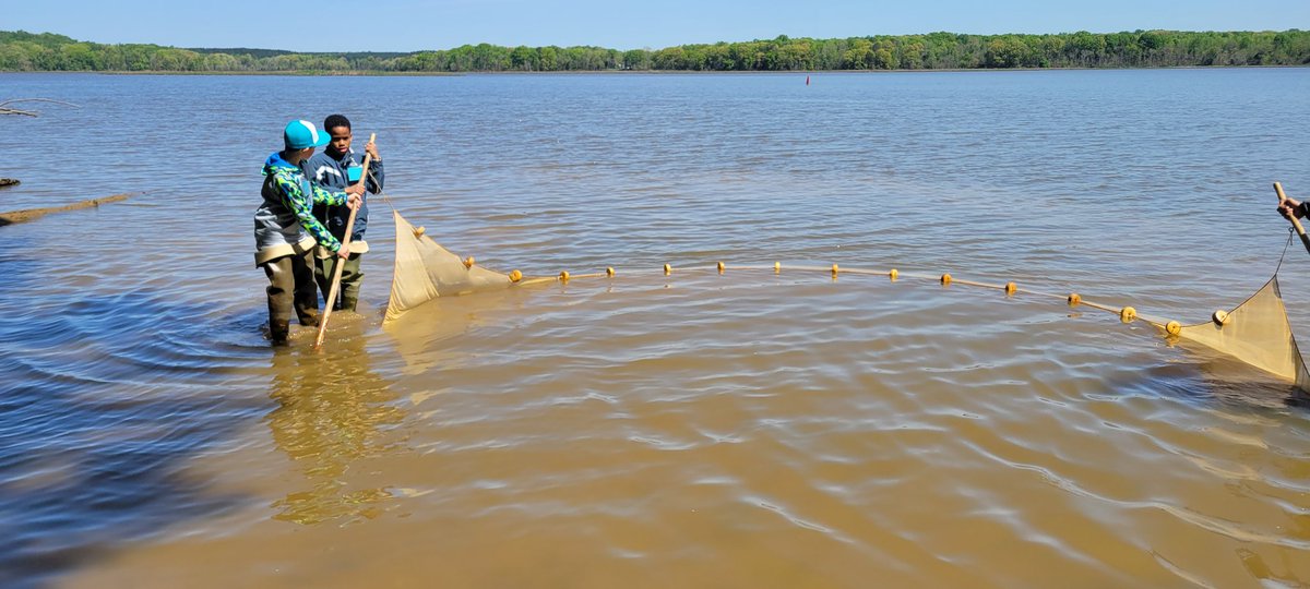 nanjemoycreek's tweet photo. One fish, two fish, little fish, big fish. Well, not Dr. Seuss but the story of @WJMitchellES kids and their large seine net. Even the chaperones got in on the action! ππ @CCPS @CCPS_Science #MDDNR https://t.co/45o8CQ8k2N